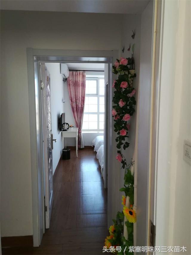 北京龙庆峡民宿,北京龙庆峡民宿第一名