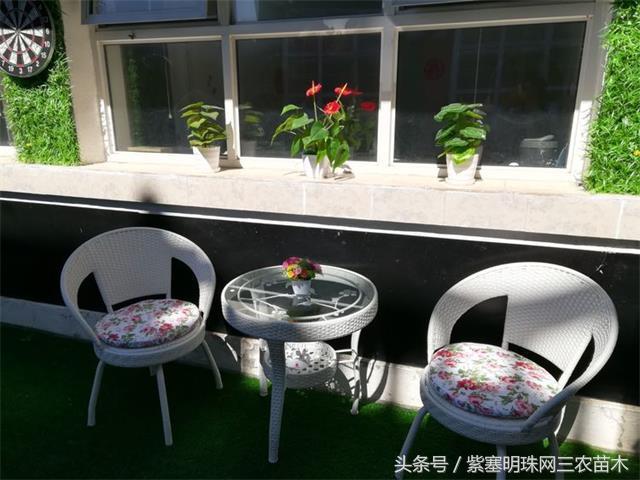 北京龙庆峡民宿,北京龙庆峡民宿第一名