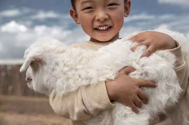 意大利羊绒之王,意大利佛罗伦萨轻奢羊绒