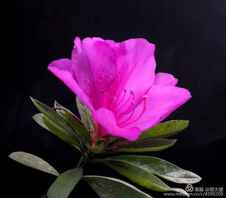 《白浪情丰收节、中秋节、国庆节休闲晚会》优秀作品选登