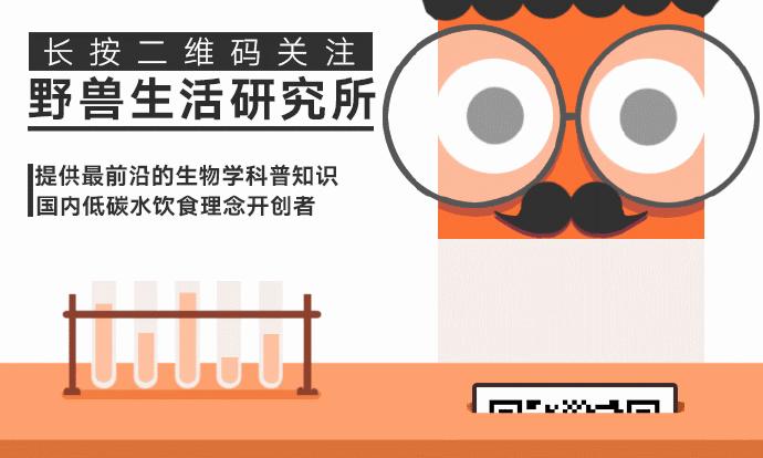 大蒜片一天吃多少最好,大蒜的保健吃法和注意点