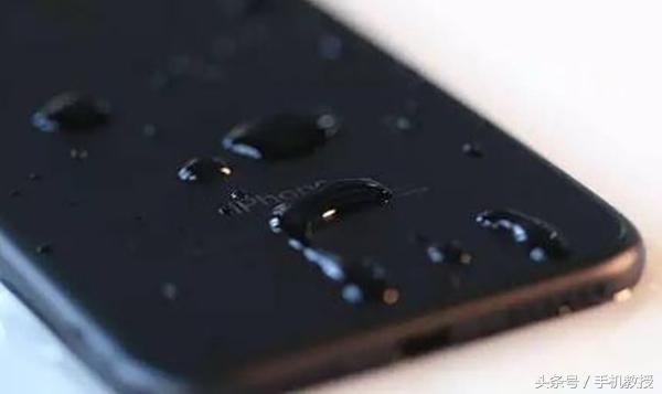 如何拯救落水的手机,手机进水了用大米一招搞定