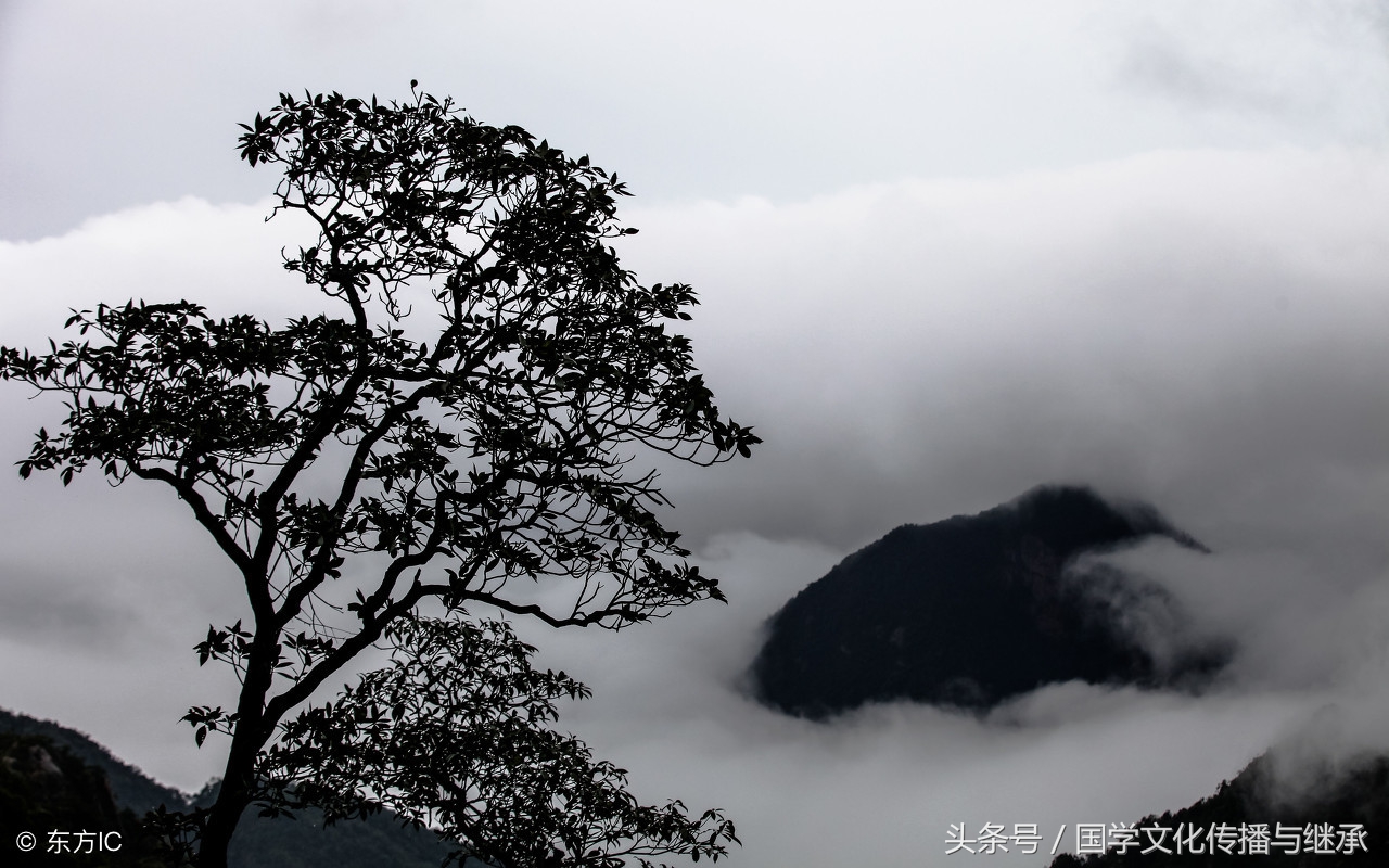 中华新韵是指十八韵还是十四韵,中华十八韵完整版