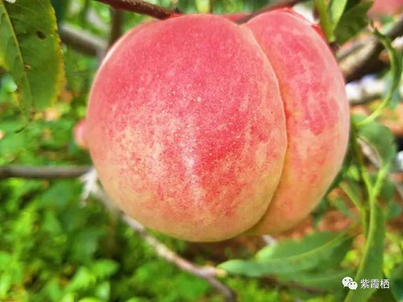 国庆云南周边旅游景点推荐,国庆去云南旅游景点有哪些要求