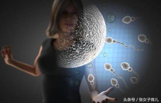 男人的生育能力最大是多大年龄,中国男人的生育能力究竟怎样