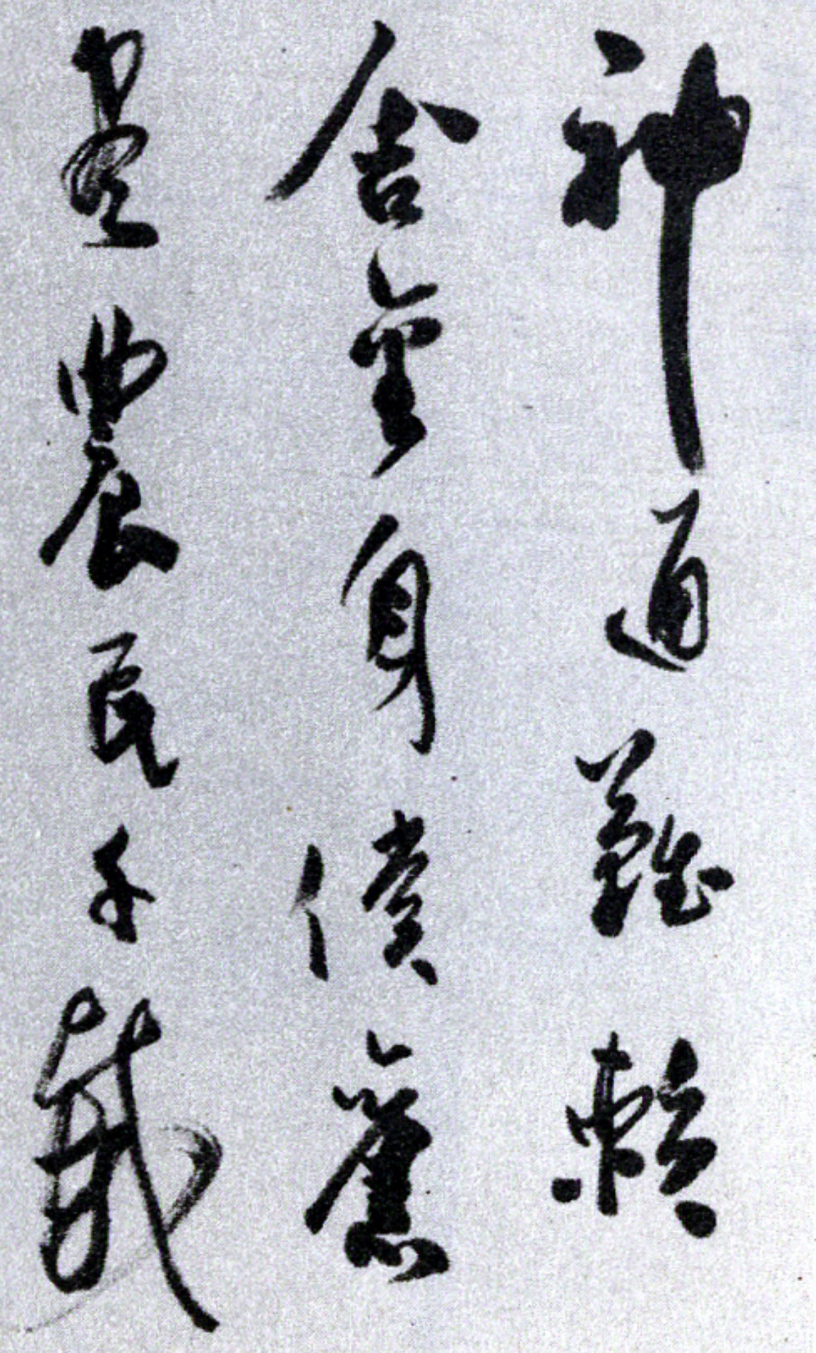 尹瘦石的山水画,尹瘦石对郭沫若的评价