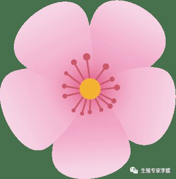 怀孕子宫畸形,畸形率高97%可以自然怀孕吗