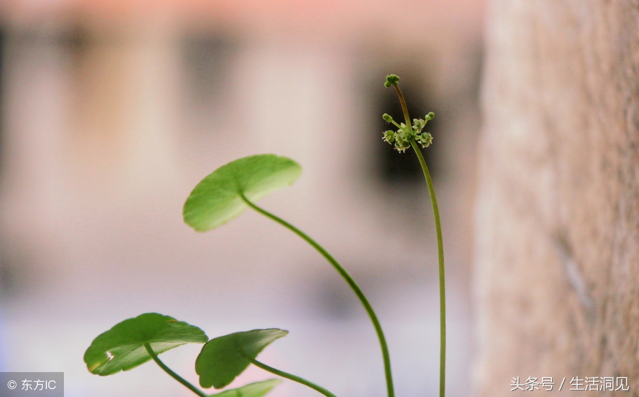 闷声发财的人30岁后的变化,人到中年要学会闷声发大财