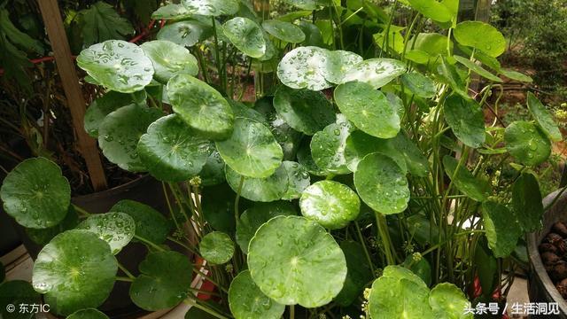 闷声发财的人30岁后的变化,人到中年要学会闷声发大财