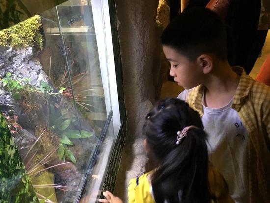 蝶舞生活倾城绽放杭州首个蝴蝶公园在西溪欢乐城盛大开园