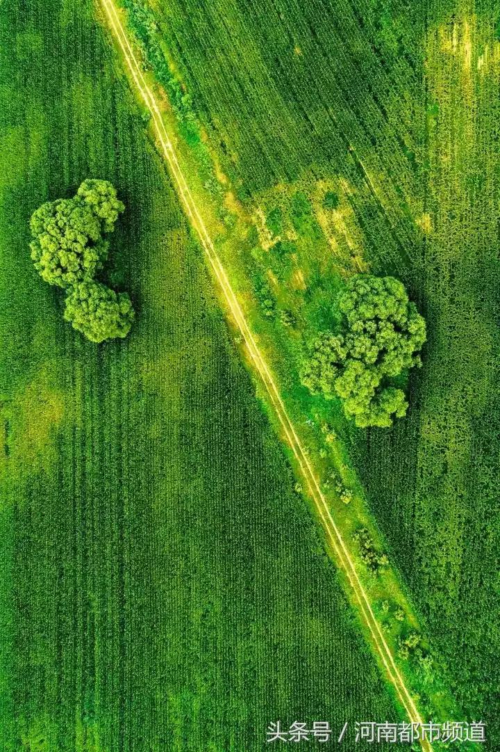 什么是中国,什么是中国特色社会主义