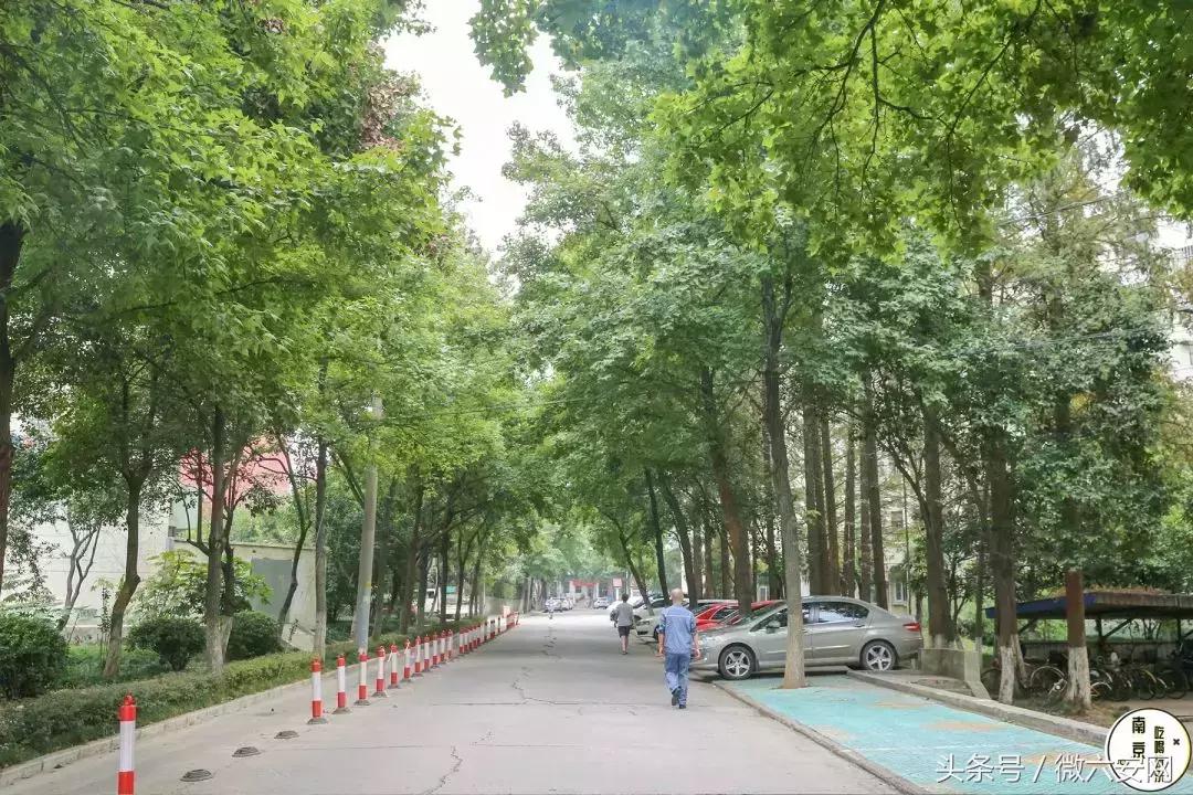 南京梅山属于上海吗,南京的梅山在什么位置