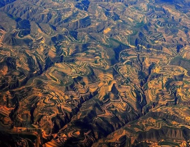 什么是中国传统文化,什么是中国文化