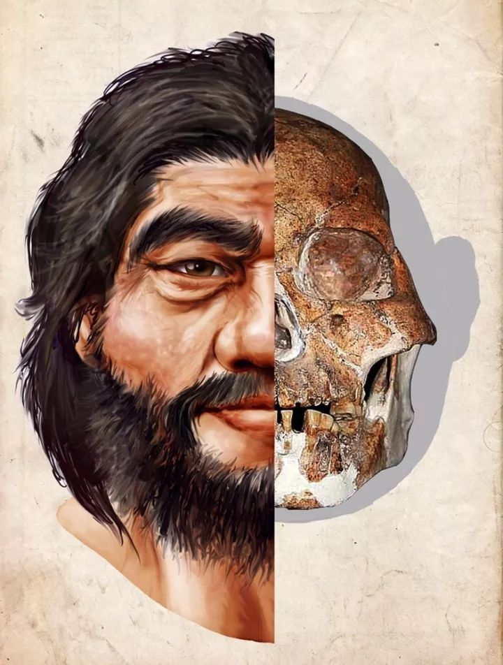 什么是中国传统文化,什么是中国文化