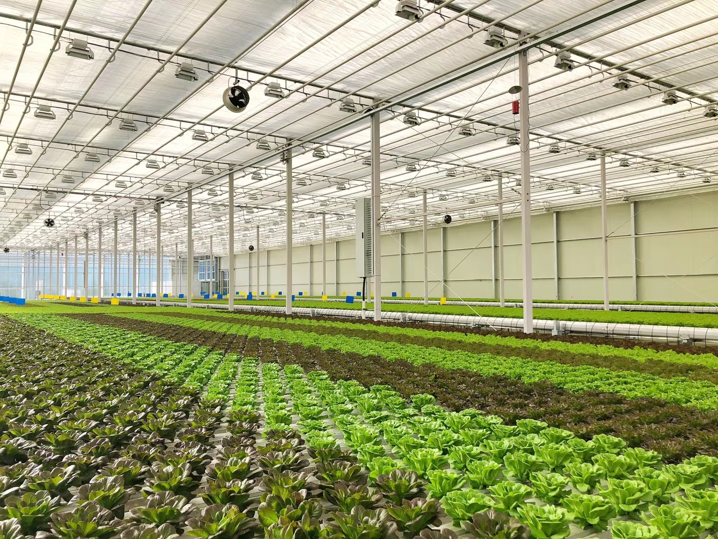 现代农业融合新模式,打造田园综合体共享农业新模式