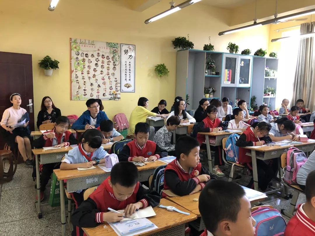 特色交流促提升，携手发展共成长——记成都高新新科学校学习访问之旅