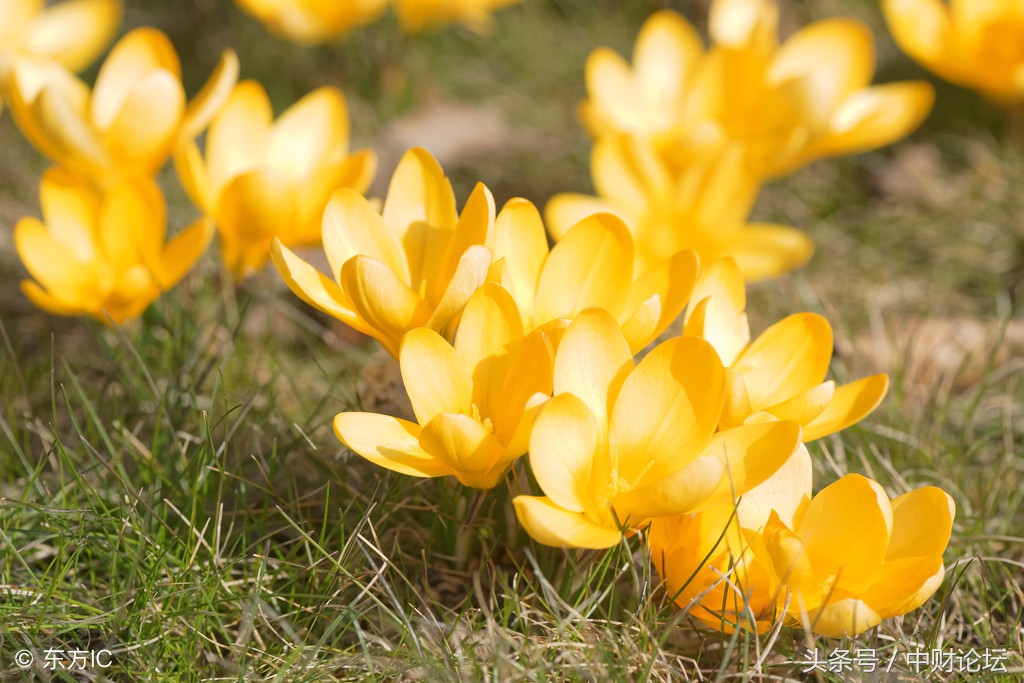 绉嬮娓╂煍娓呮柊,绉嬮娓呭喎