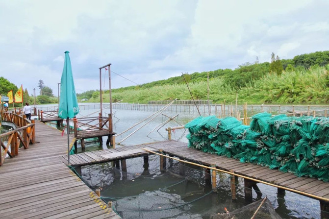 江南旅游注意事项及出行指南,旅游江南水乡