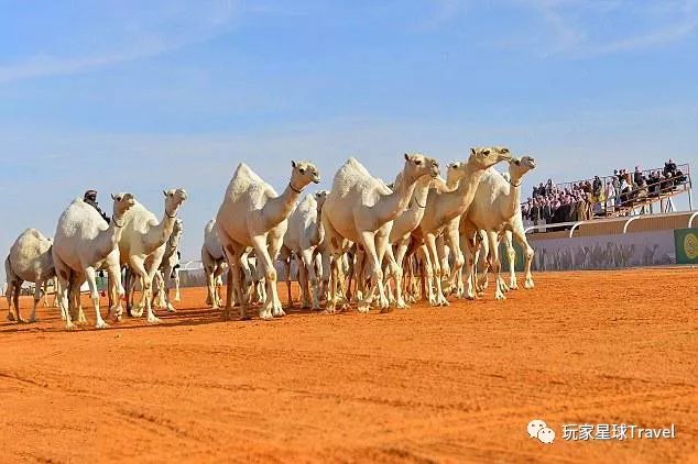 迪拜土豪城市环境非常好,阿布扎比与迪拜哪个更土豪