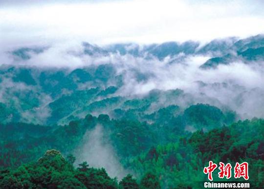 龙门南昆山森林公园,龙门南昆山森林氧吧