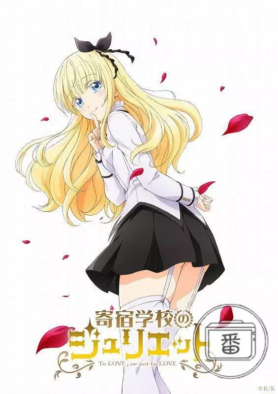 燃爆青春视频完整版,燃爆青春的视频