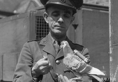 用冰打造的航母,用冰块造航母