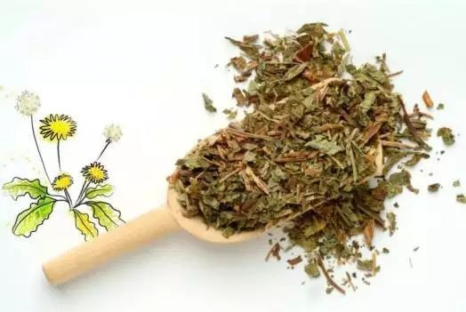 湿热体质怎么调理才会降下来,湿热体质中医如何调理