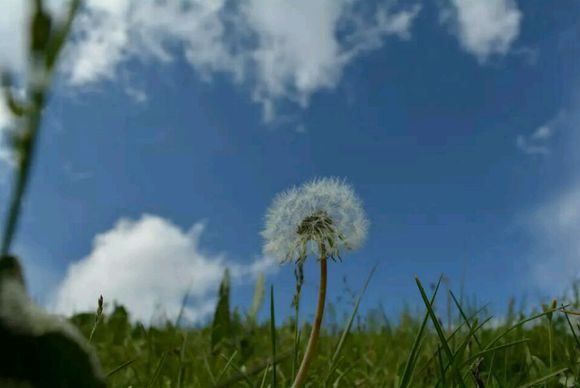 我的一周伊利穷游记