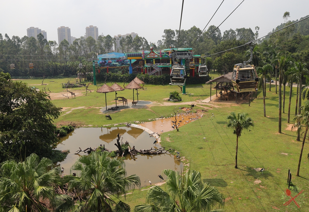 去广州长隆不住景区攻略,春节广州长隆不住园区怎么玩
