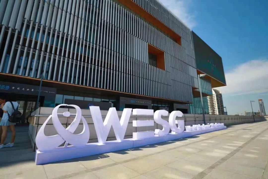 wesg中国区总决赛冠军,wesg2018冠军