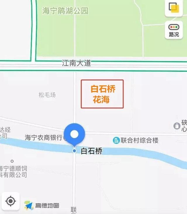 嘉兴有一片花海在哪里,嘉兴最漂亮花海