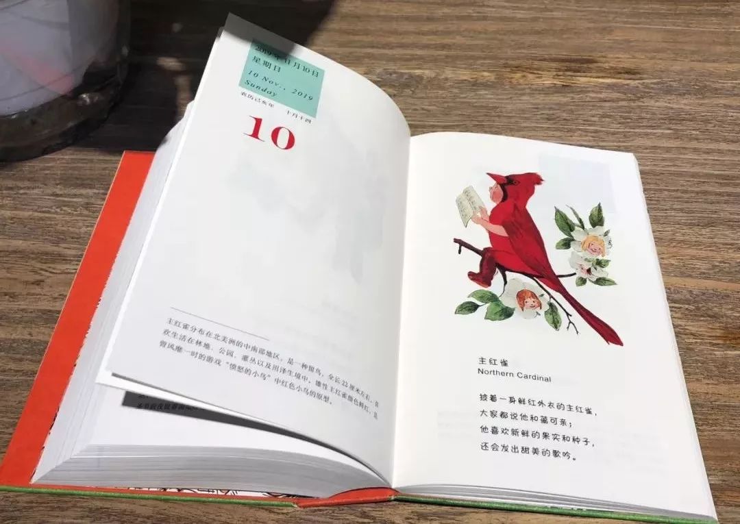 金猪年有多少天,金猪年多少年一遇