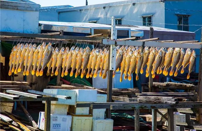 高铁郑州到香港西九龙如何过关,郑州直达香港西九龙高铁站