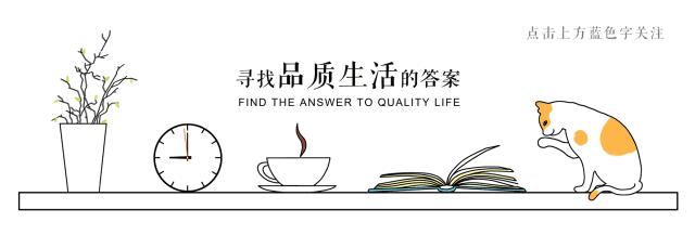 鸡汁蒸脑最正宗的做法,新乡鸡汁豆脑