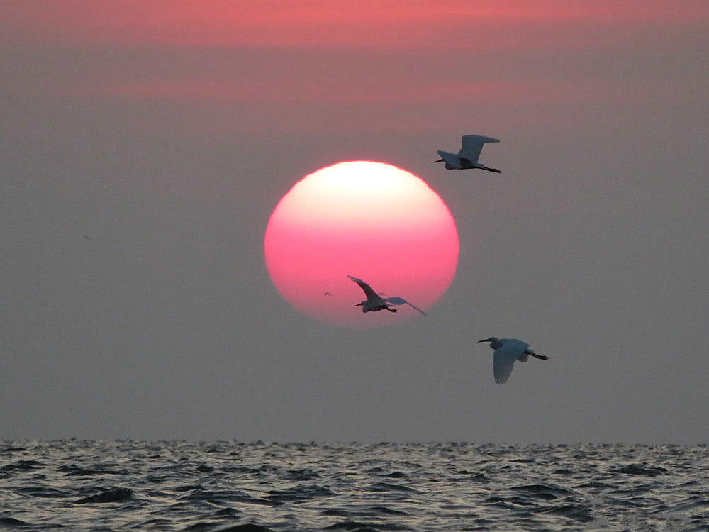 初升的红日很漂亮，配上海面的波浪，很唯美！