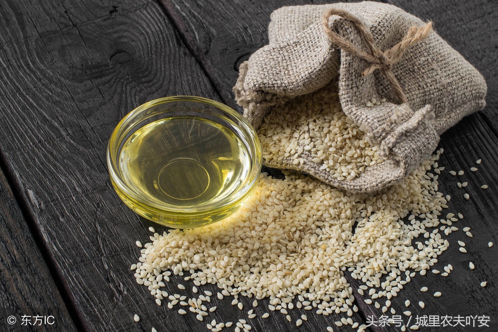 城里农夫酵素养鸡视频,土鸡养殖技术大蒜养鸡