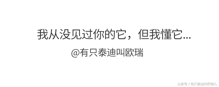 狗狗被关在笼子里咬笼子,狗狗一直被关在小小的笼子里