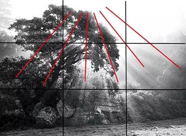 摄影教程新手入门拍人像,摄影构图技巧入门教程