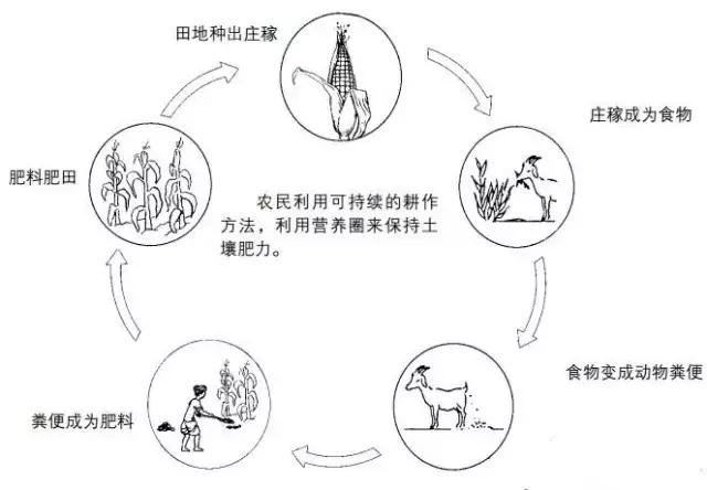 写给环境的一封信,写给社区的一封信