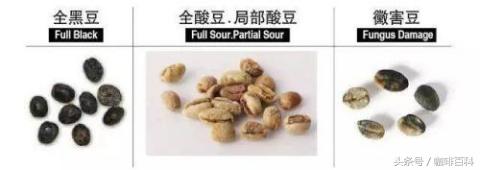 小白去咖啡店怎么点咖啡,小白怎样去操作咖啡店