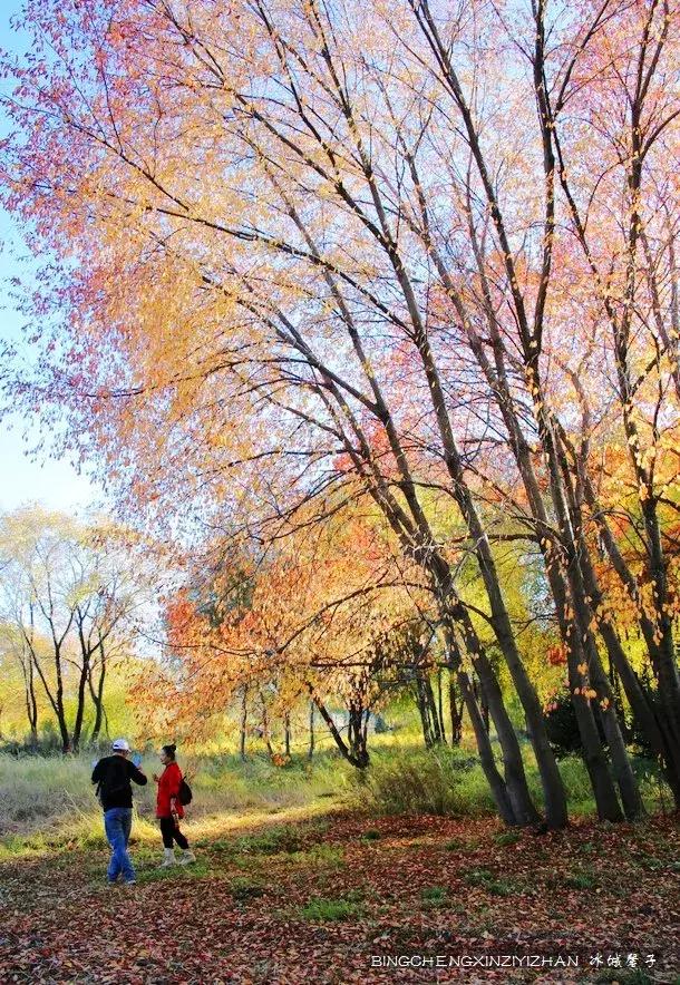 哈尔滨隐藏的景点伏尔加庄园,哈尔滨国庆节去哪里