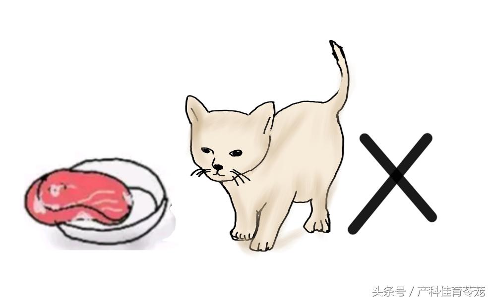 孕期感染弓形体,孕期接触狗狗一定会感染弓形虫吗