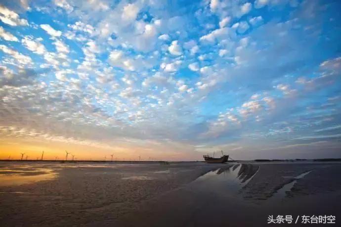 美丽乡村行东台,东台乡村振兴试点村