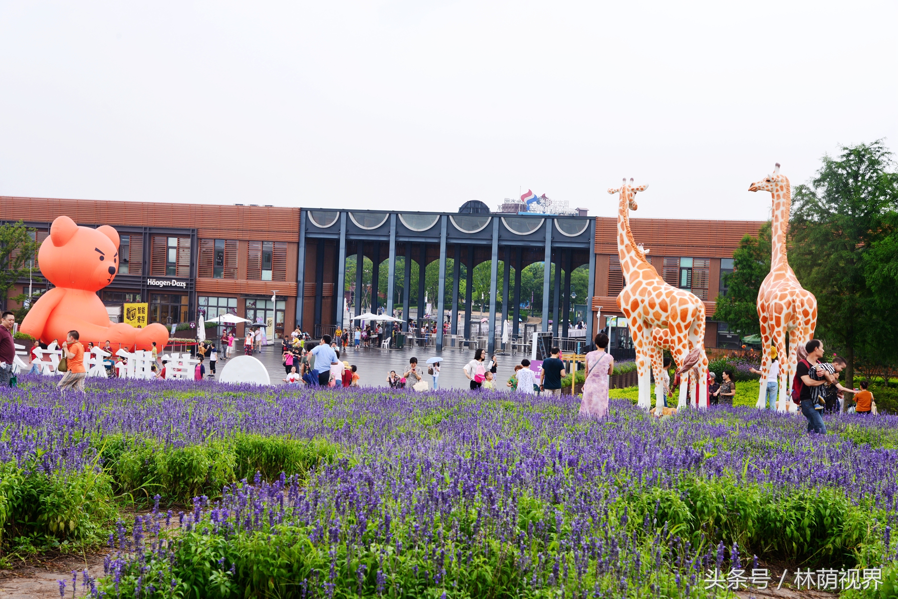 上海深度一日游,浦东金桥镇一日游