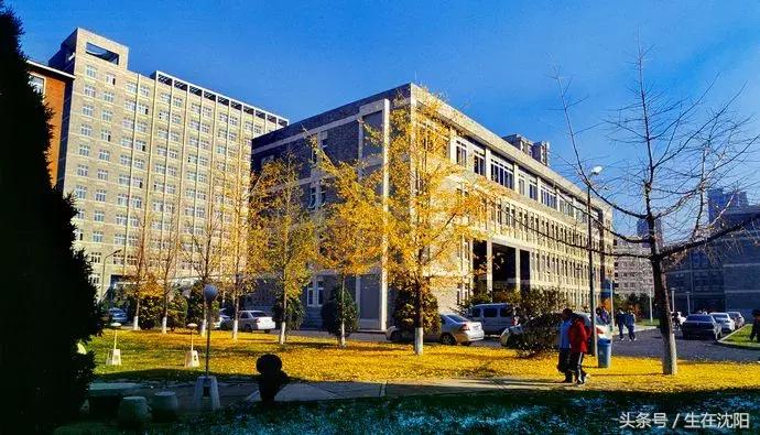 沈阳三十二所高校都有什么,沈阳高校一览表