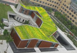 种植屋面耐根穿刺防水施工教程,种植屋面防水技术总结