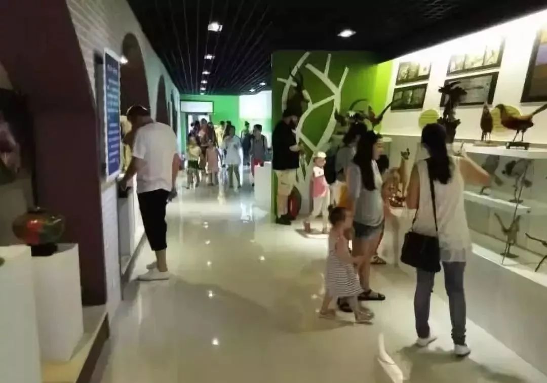 青岛有什么值得去的博物馆推荐,青岛值得去的几个博物馆