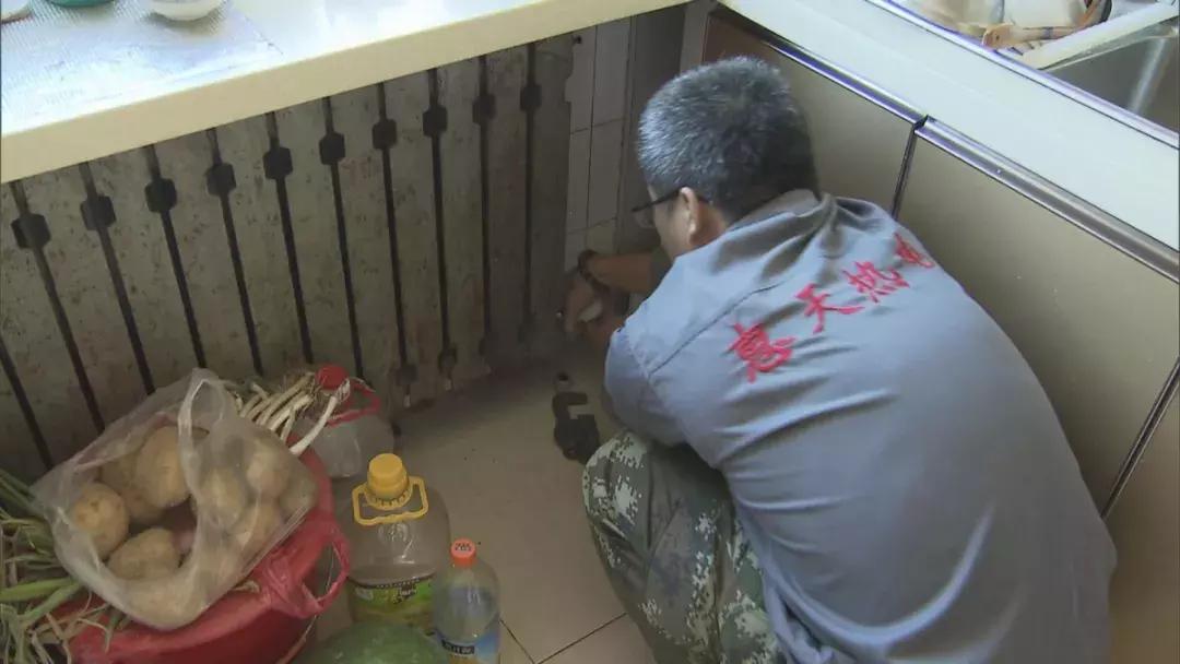 娌堥槼鎸轰綇,娌堥槼鍥藉簡鍋囨湡