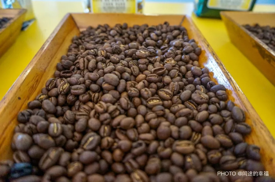 了解咖啡从什么开始,哥斯达黎加咖啡豆属于哪个洲