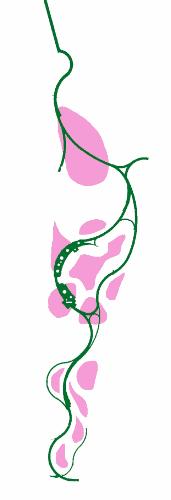 景观设计一定要效果图好看,景观设计极简讲究对称吗